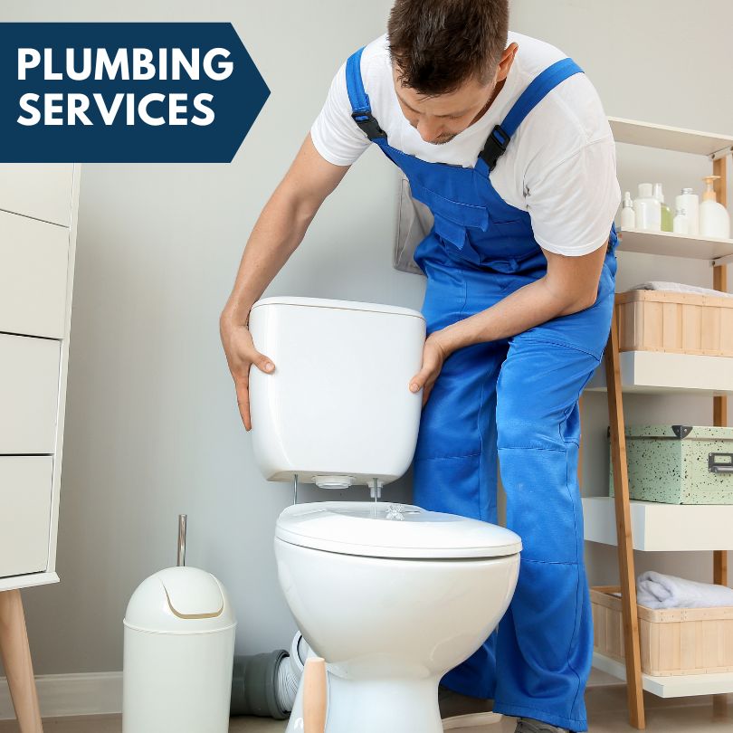 Plumbing Company in Ceresco, MI